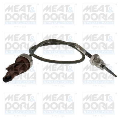 Sensor, exhaust gas temperature